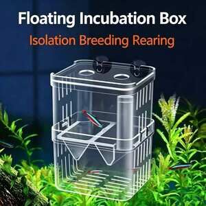 Double‑Layer Floating Aquarium Fish Breeding Isolation Box